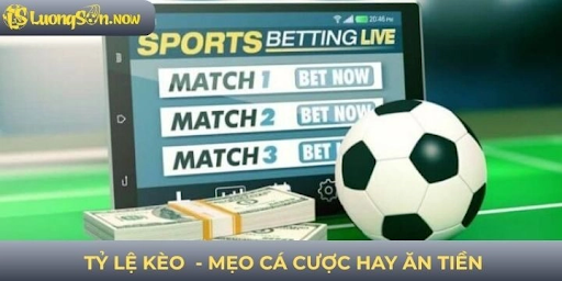 Understanding Betting Odds at Luongson Through Pre-Match Movements